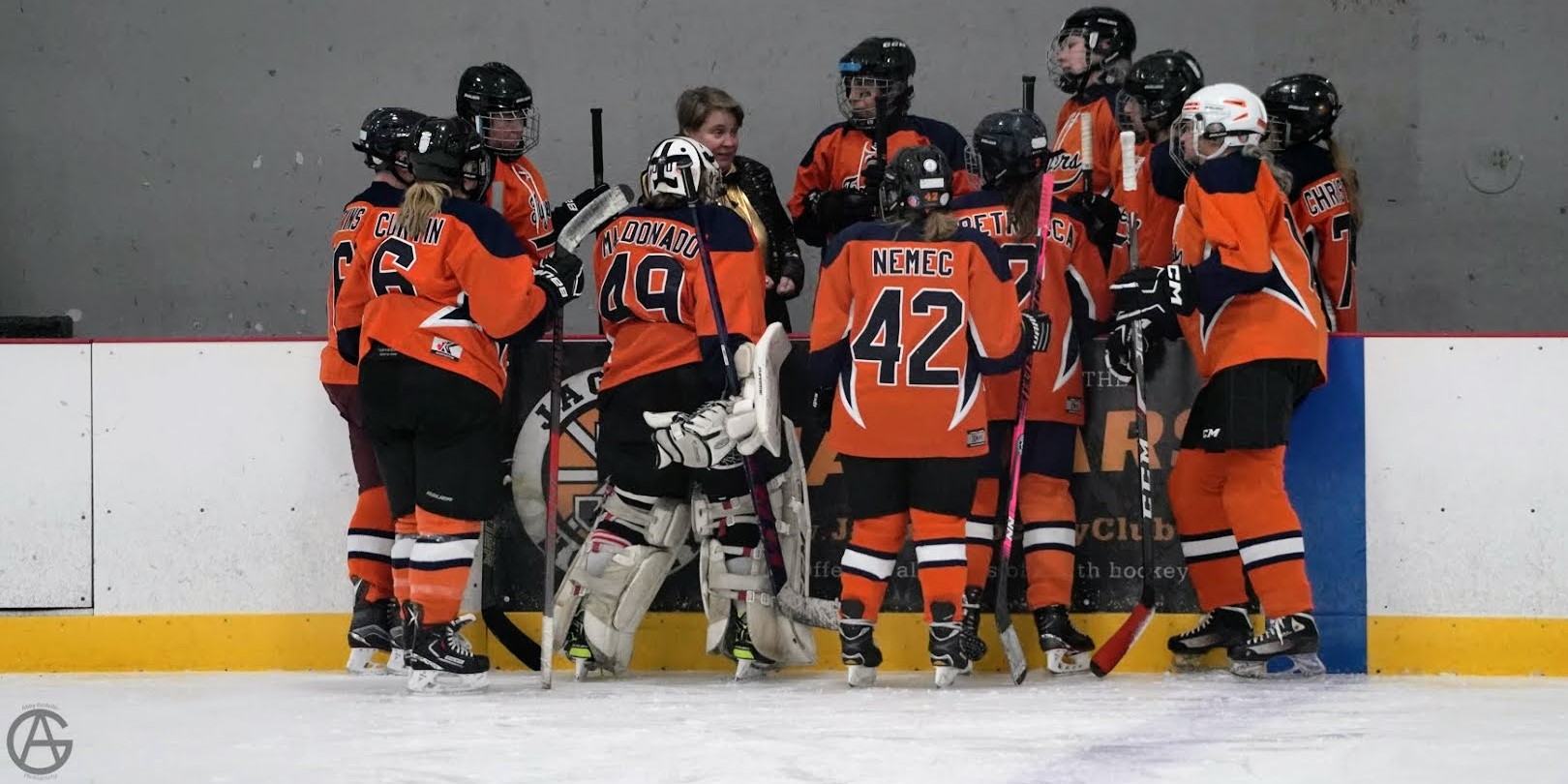 Tigers D7 Team